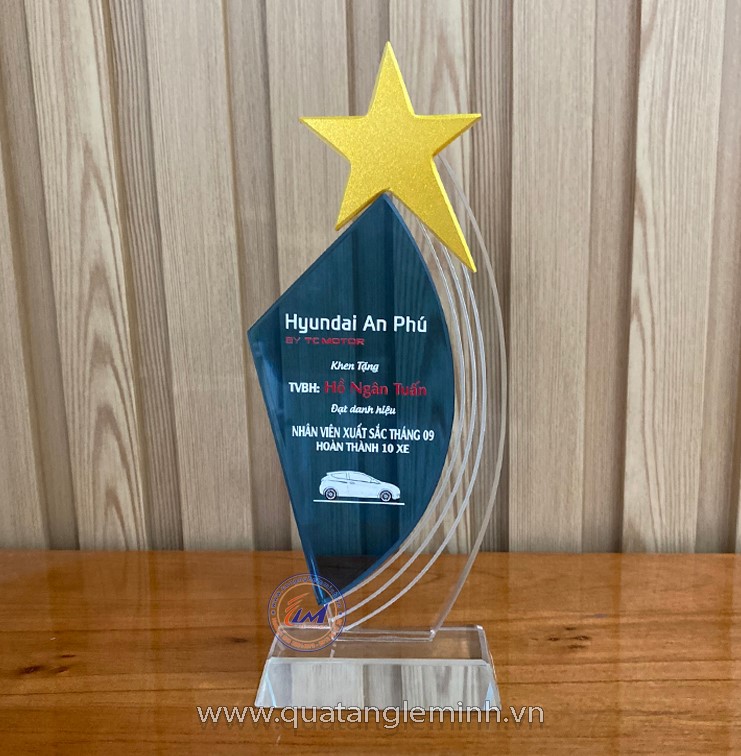 Kỷ niệm chương pha lê (mẫu hình sao nghiêng)