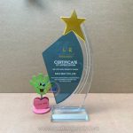 ky-niem-chuong-pha-le-mau-hinh-sao-nghieng-4