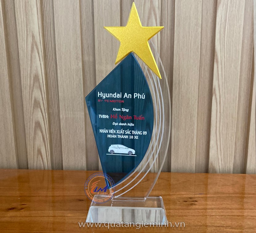 ky-niem-chuong-pha-le-mau-hinh-sao-nghieng-7